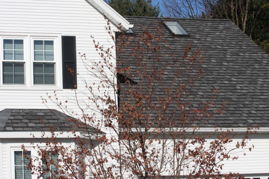New Roof for Ben in Saratoga